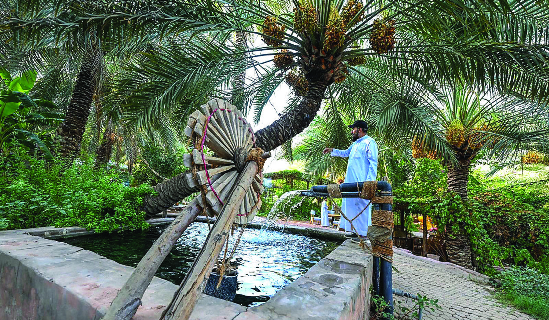 Hail’s Farms Offer Authentic Glimpse into Rural Saudi Life
